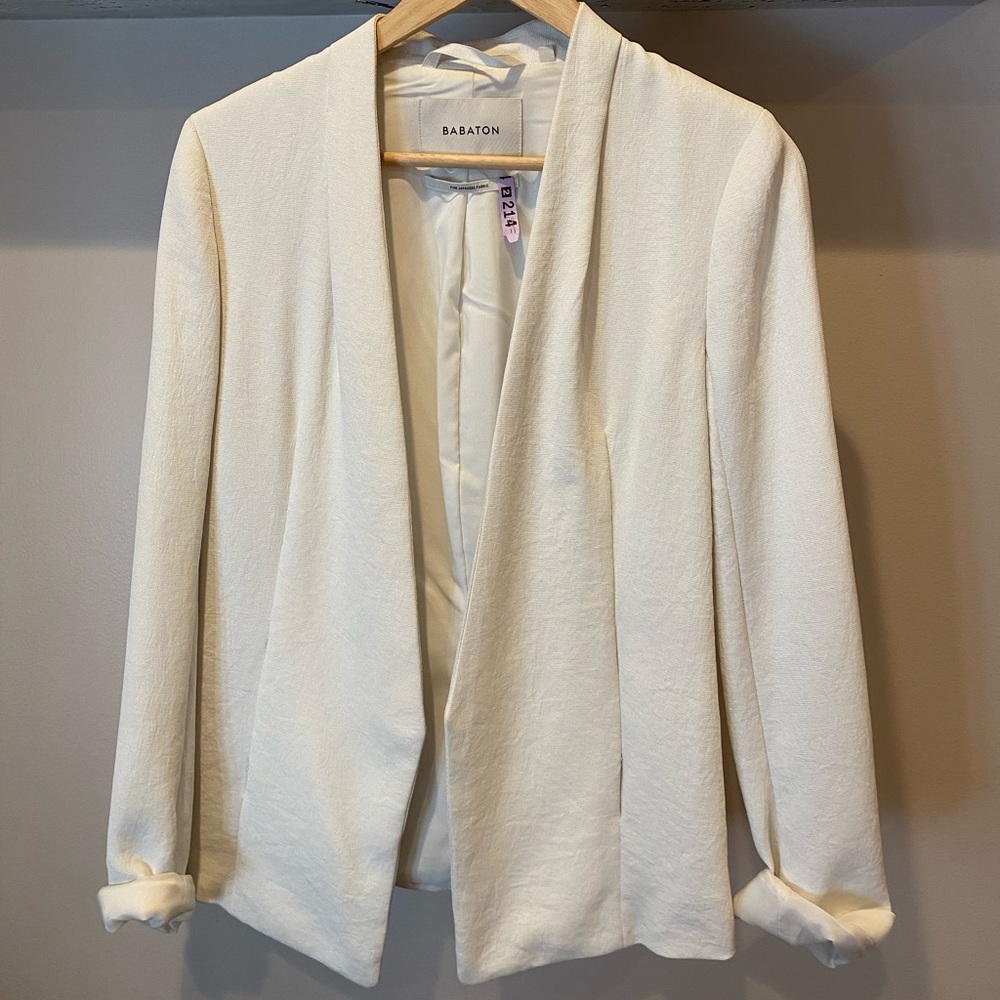 Aritzia Babaton Power Blazer